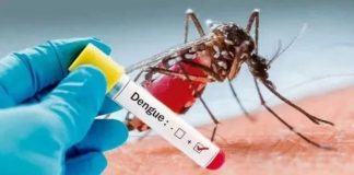 la-ops-advierte-que-se-espera-la-peor-temporada-de-dengue-en-la-historia-en-america-latina