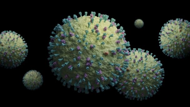 la-oms-evalua-el-riesgo-de-un-posible-brote-de-metapneumovirus la-oms-evalua-el-riesgo-de-un-posible-brote-de-metapneumovirus