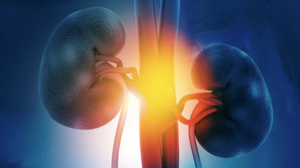 una-vacuna-terapeutica-podria-combatir-el-cancer-de-rinon-avanzado una-vacuna-terapeutica-podria-combatir-el-cancer-de-rinon-avanzado