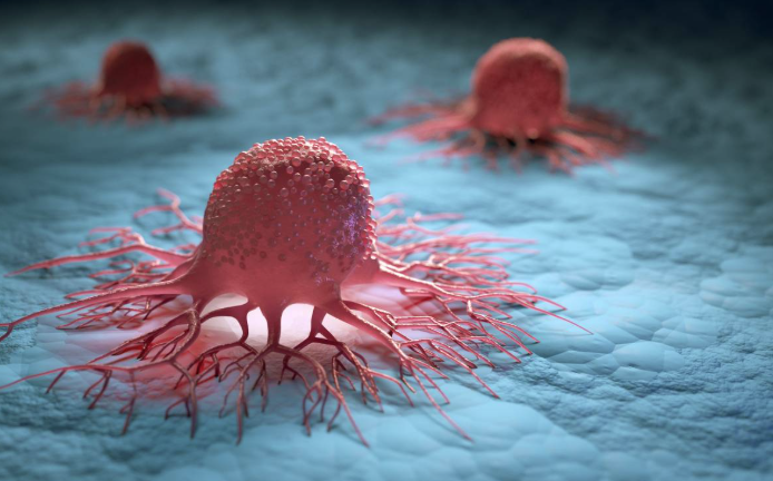 cocina-anticancer:-tres-complices-inesperados-contra-el-avance-tumoral cocina-anticancer:-tres-complices-inesperados-contra-el-avance-tumoral