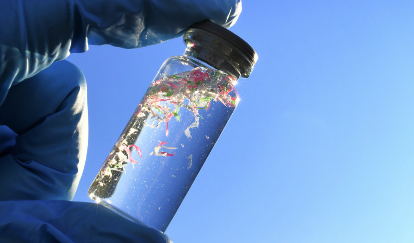 descubren-otro-peligro-de-los-microplasticos-que-alarma-a-los-cientificos descubren-otro-peligro-de-los-microplasticos-que-alarma-a-los-cientificos