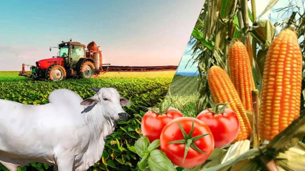 las-primas-netas-cobradas-en-seguro-agropecuario-caen-16.5-%-en-primeros-meses-del-2025