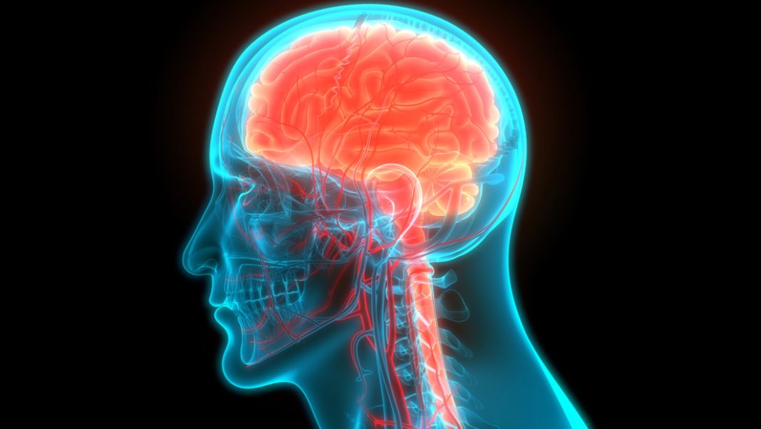 cientificos-descubren-un-posible-tratamiento-para-el-parkinson