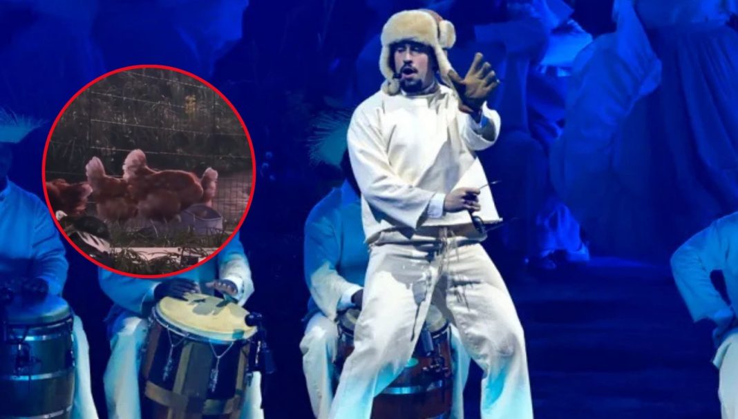peta-califica-como-maltrato-animal-el-uso-de-gallinas-en-concierto-de-bad-bunny