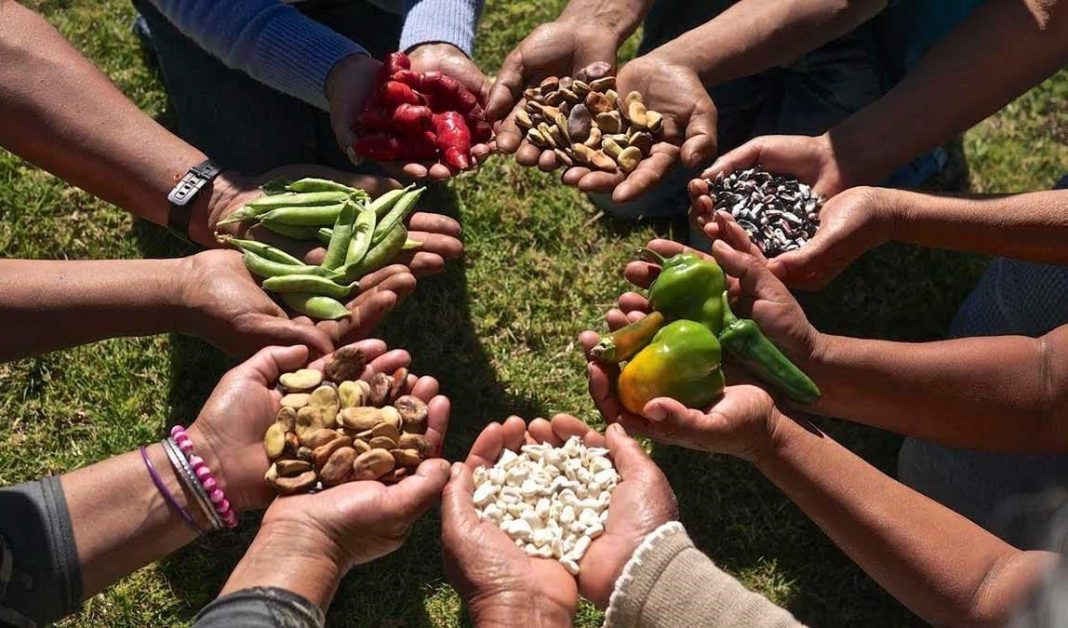 menos-hambre-y-mas-seguridad-alimentaria-en-america-latina,-reporta-informe menos-hambre-y-mas-seguridad-alimentaria-en-america-latina,-reporta-informe