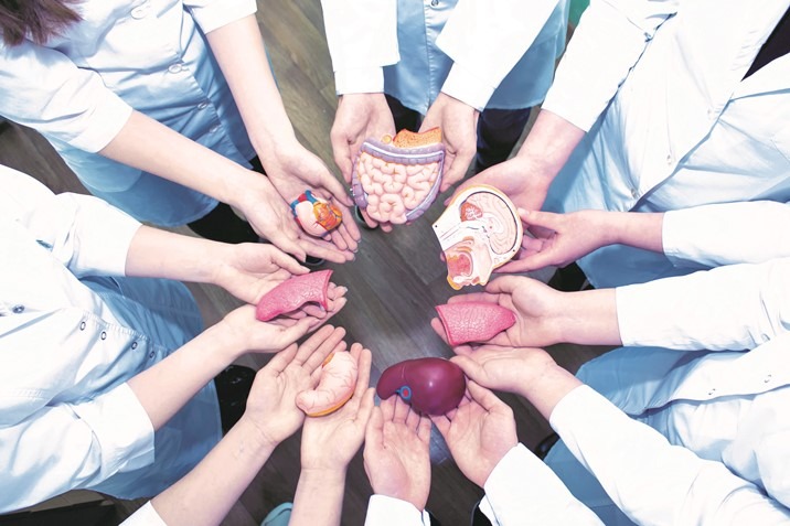 nuevo-enfoque-terapeutico-reduce-la-necesidad-de-medicamentos-tras-un-trasplante nuevo-enfoque-terapeutico-reduce-la-necesidad-de-medicamentos-tras-un-trasplante