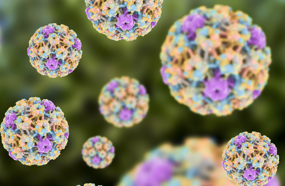 descubren-una-inesperada-causa-para-uno-de-los-canceres-mas-comunes-del-mundo descubren-una-inesperada-causa-para-uno-de-los-canceres-mas-comunes-del-mundo