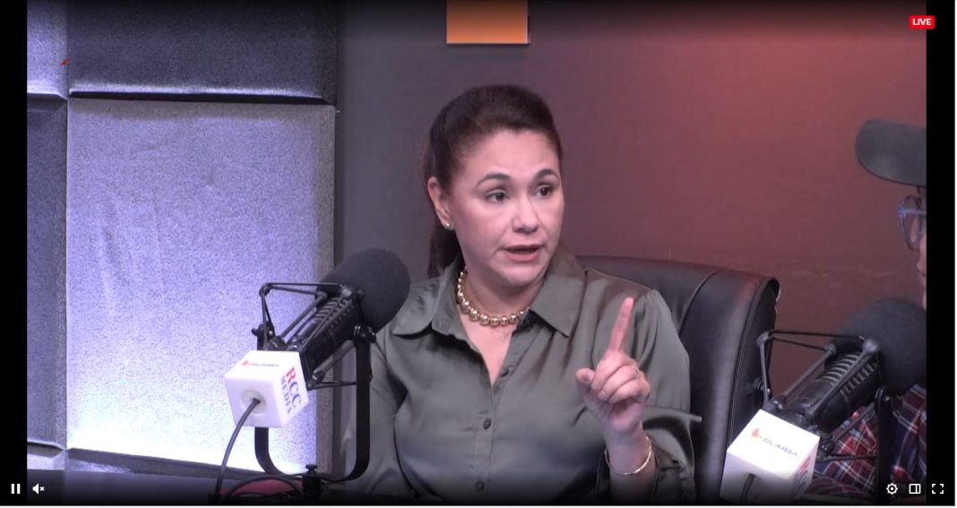 psicologa-celines-madera-dice-existe-en-el-papel-atencion-primaria-y-en-crisis,-no-en-la-practica