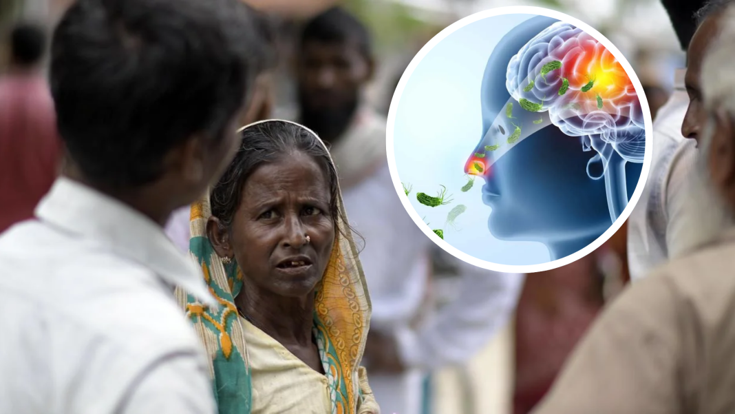 india-emite-alarma-sanitaria-mientras-la-ameba-«comecerebros»-cobra-19-vidas india-emite-alarma-sanitaria-mientras-la-ameba-«comecerebros»-cobra-19-vidas