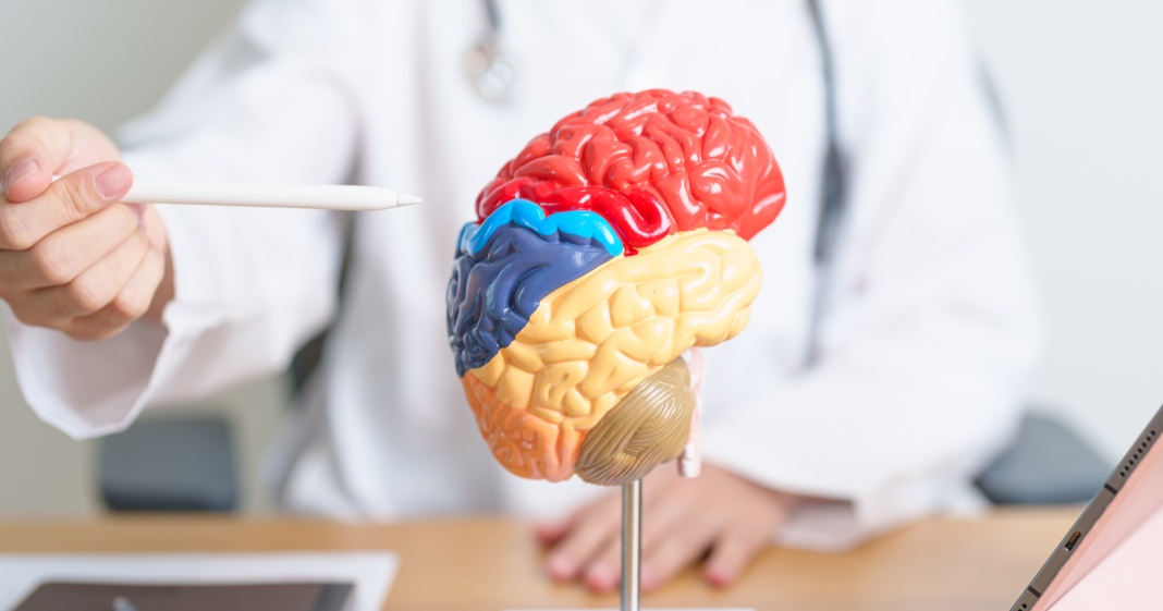 dia-mundial-de-la-paralisis-cerebral:-visibilizar-la-inclusion-mas-alla-del-diagnostico