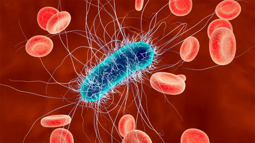 la-oms-alerta-sobre-la-creciente-resistencia-global-de-las-bacterias-a-los-antibioticos la-oms-alerta-sobre-la-creciente-resistencia-global-de-las-bacterias-a-los-antibioticos