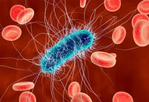 La OMS alerta sobre la creciente resistencia global de las bacterias a los antibióticos la-oms-alerta-sobre-la-creciente-resistencia-global-de-las-bacterias-a-los-antibioticos