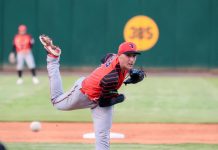 Toros aplican séptima derrota  corrida a las Estrellas. Suben al segundo lugar en LIDOM toros-aplican-septima-derrota-corrida-a-las-estrellas.-suben-al-segundo-lugar-en-lidom