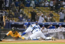 Suspensión Serie del Cibao en NY: Casi todos pierden… suspension-serie-del-cibao-en-ny:-casi-todos-pierden…