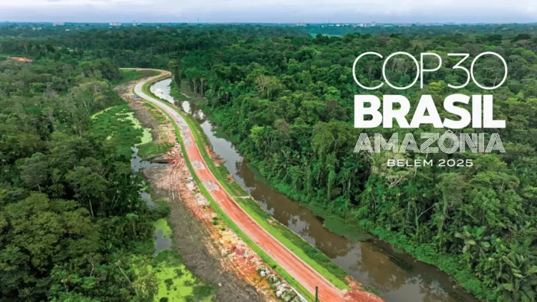brasil-asegura-5,500-millones-de-dolares-para-salvar-los-bosques-tropicales brasil-asegura-5,500-millones-de-dolares-para-salvar-los-bosques-tropicales