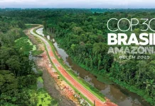 Brasil asegura 5,500 millones de dólares para salvar los bosques tropicales brasil-asegura-5,500-millones-de-dolares-para-salvar-los-bosques-tropicales