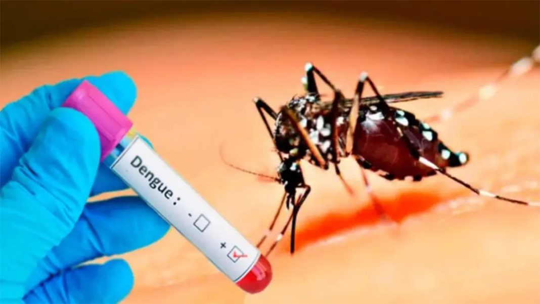 llegan-a-paraguay-las-primeras-70-200-dosis-de-la-vacuna-contra-el-dengue llegan-a-paraguay-las-primeras-70-200-dosis-de-la-vacuna-contra-el-dengue