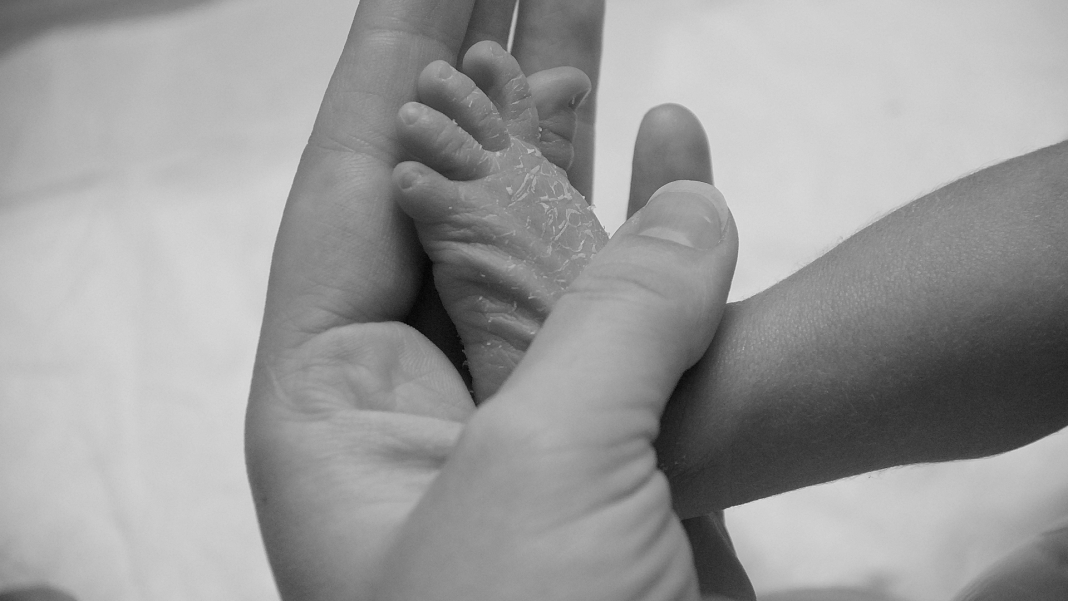 salud-publica-reporta-aumento-en-muertes-infantiles-y-nuevos-casos-de-leptospirosis-y-dengue salud-publica-reporta-aumento-en-muertes-infantiles-y-nuevos-casos-de-leptospirosis-y-dengue