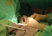 Primer trasplante perióstico autólogo en RD y el Caribe primer-trasplante-periostico-autologo-en-rd-y-el-caribe