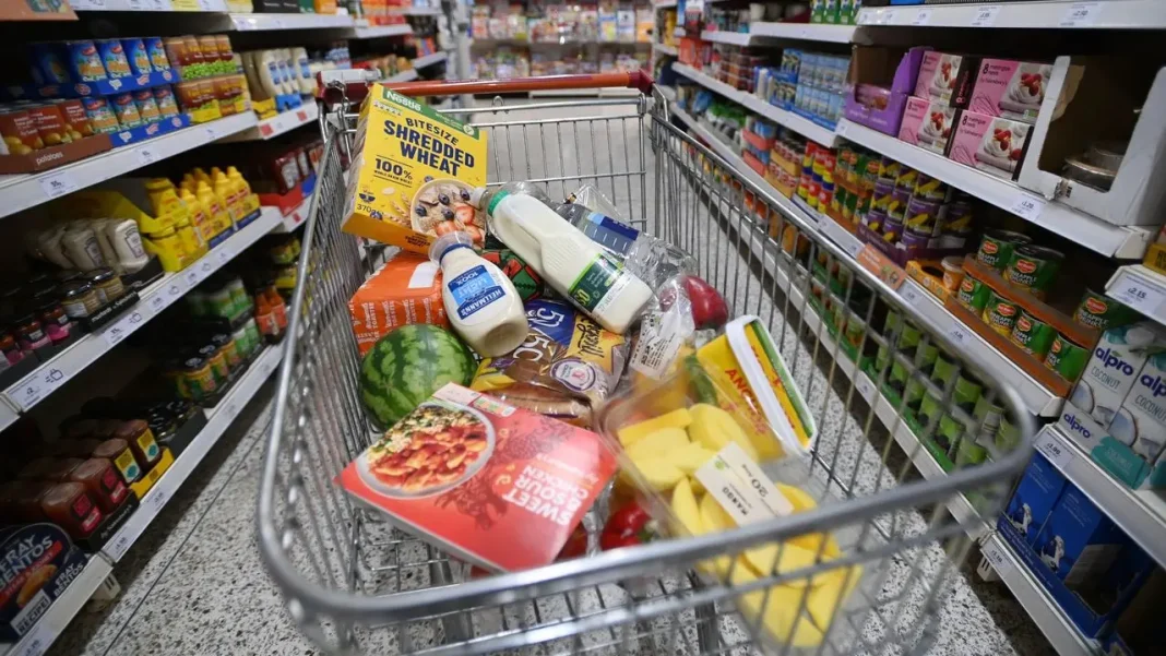 ultraprocesados,-bajo-la-lupa:-estudio-asocia-su-consumo-con-mas-riesgo-de-cancer-en-jovenes ultraprocesados,-bajo-la-lupa:-estudio-asocia-su-consumo-con-mas-riesgo-de-cancer-en-jovenes