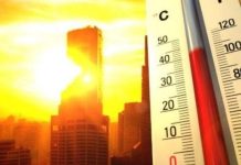 Más de 540,000 muertes anuales por olas de calor, alerta la OMS mas-de-540,000-muertes-anuales-por-olas-de-calor,-alerta-la-oms