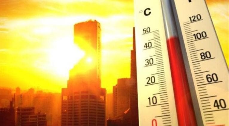 mas-de-540,000-muertes-anuales-por-olas-de-calor,-alerta-la-oms mas-de-540,000-muertes-anuales-por-olas-de-calor,-alerta-la-oms