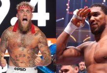 Pelea de alto riesgo para Jake Paul… pelea-de-alto-riesgo-para-jake-paul…