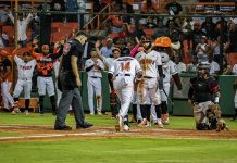 Toros se imponen a Leones guiados por Celestino, De la Cruz y Guzmán toros-se-imponen-a-leones-guiados-por-celestino,-de-la-cruz-y-guzman