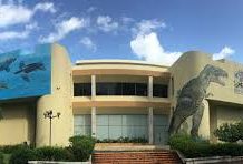 Museo en Juego, la nueva actividad del Museo de Historia Natural museo-en-juego,-la-nueva-actividad-del-museo-de-historia-natural