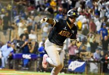 Amador con hit de oro ante el Licey desató la euforia aguilucha en el décimo episodio amador-con-hit-de-oro-ante-el-licey-desato-la-euforia-aguilucha-en-el-decimo-episodio