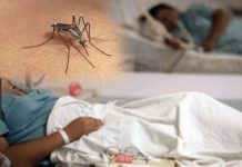 Más de 47 mil personas están actualmente ingresadas en Cuba por dengue o chikunguña mas-de-47-mil-personas-estan-actualmente-ingresadas-en-cuba-por-dengue-o-chikunguna