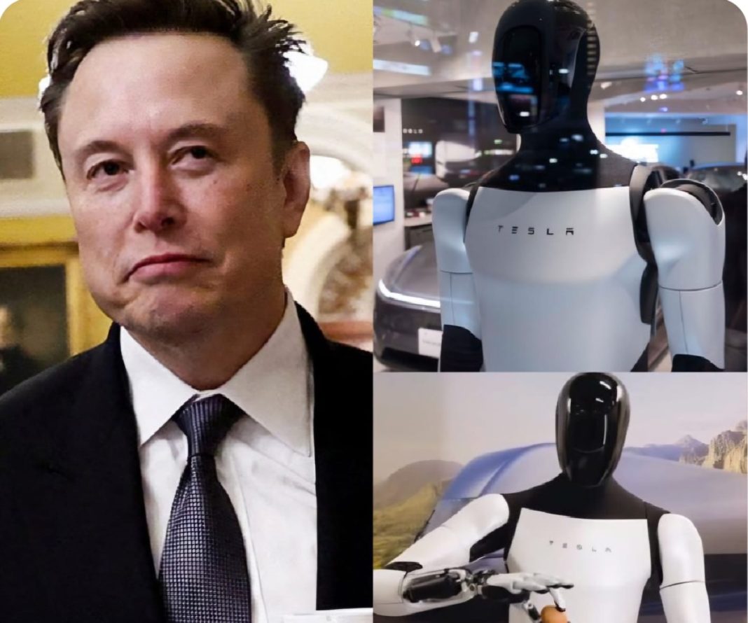 elon-musk-promete-erradicar-la-pobreza-con-su-robot-optimus elon-musk-promete-erradicar-la-pobreza-con-su-robot-optimus