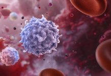 Un avance contra las ‘células zombi’ promete un posible tratamiento para la diabetes temprana un-avance-contra-las-‘celulas-zombi’-promete-un-posible-tratamiento-para-la-diabetes-temprana