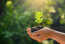 ONU: Invertir en medioambiente puede evitar millones de muertes onu:-invertir-en-medioambiente-puede-evitar-millones-de-muertes