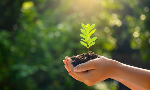 onu:-invertir-en-medioambiente-puede-evitar-millones-de-muertes onu:-invertir-en-medioambiente-puede-evitar-millones-de-muertes