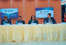 Cámara de Cuentas asegura auditoría al Senasa avanza con rapidez y no tardará tres meses camara-de-cuentas-asegura-auditoria-al-senasa-avanza-con-rapidez-y-no-tardara-tres-meses