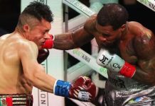 “El Pitbull” vs Roach, un peleón… “el-pitbull”-vs-roach,-un-peleon…