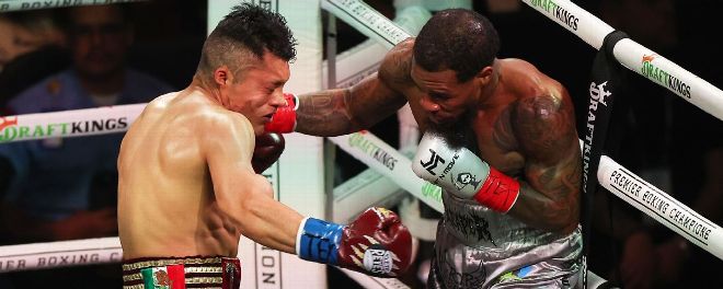“el-pitbull”-vs-roach,-un-peleon… “el-pitbull”-vs-roach,-un-peleon…