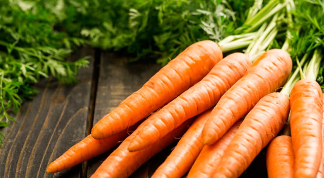 la-zanahoria,-un-aliado-natural-para-la-salud-integral la-zanahoria,-un-aliado-natural-para-la-salud-integral