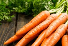 La zanahoria, un aliado natural para la salud integral la-zanahoria,-un-aliado-natural-para-la-salud-integral