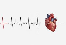 Pulso y frecuencia cardíaca: en qué se diferencian y por qué ignorarlo puede ser un riesgo pulso-y-frecuencia-cardiaca:-en-que-se-diferencian-y-por-que-ignorarlo-puede-ser-un-riesgo