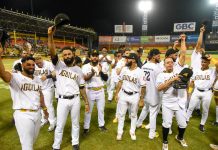 Águilas Cibaeñas blanquean a Leones y clasifican al Round Robin. aguilas-cibaenas-blanquean-a-leones-y-clasifican-al-round-robin.