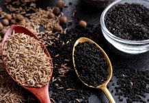 Cuáles son los 4 alimentos recomendados por los especialistas para controlar el colesterol alto cuales-son-los-4-alimentos-recomendados-por-los-especialistas-para-controlar-el-colesterol-alto