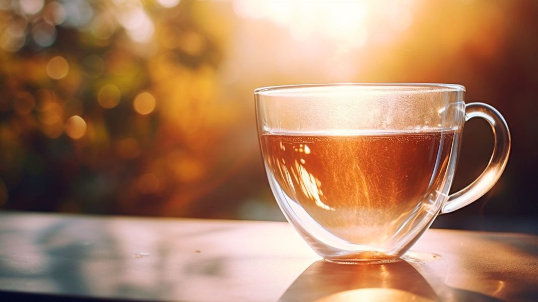 un-estudio-sugiere-que-el-habito-de-beber-te-puede-favorecer-la-longevidad:-que-dice-la-ciencia un-estudio-sugiere-que-el-habito-de-beber-te-puede-favorecer-la-longevidad:-que-dice-la-ciencia