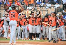Eloy la sacó, Brooks domina y Toros superan al Licey eloy-la-saco,-brooks-domina-y-toros-superan-al-licey