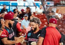 Gigantes vencen en doble partidos a Toros metiéndose en la pelea de clasificación en Béisbol RD gigantes-vencen-en-doble-partidos-a-toros-metiendose-en-la-pelea-de-clasificacion-en-beisbol-rd