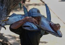 Amenaza petrolera provoca ansiedad, pero Venezuela mantiene su ritmo cotidiano amenaza-petrolera-provoca-ansiedad,-pero-venezuela-mantiene-su-ritmo-cotidiano