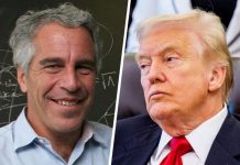 Trump voló «muchas más veces» de lo reportado en el jet de Epstein, según nuevos archivos trump-volo-«muchas-mas-veces»-de-lo-reportado-en-el-jet-de-epstein,-segun-nuevos-archivos
