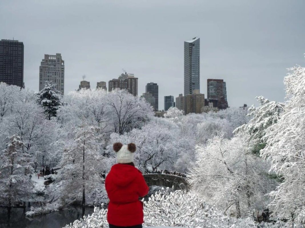 nueva-york-y-estados-vecinos-vestidos-de-blanco-ante-primera-gran-tormenta-invernal