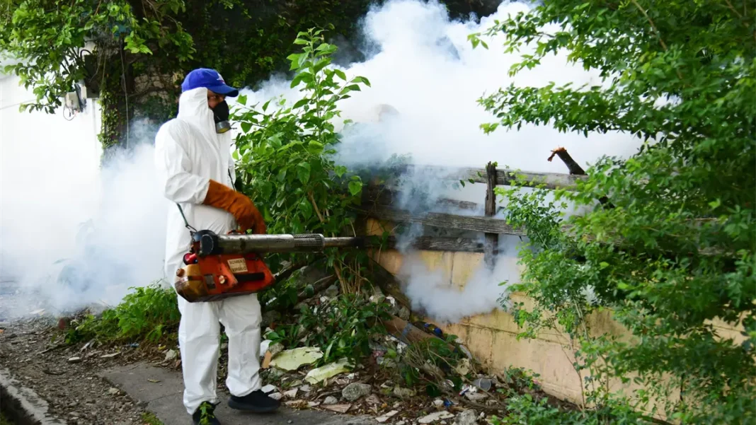 rd-finaliza-2025-sin-muertes-por-dengue-y-logra-una-disminucion-significativa-en-los-casos